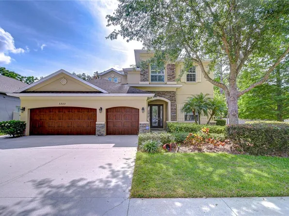 3323 Anna George Dr, Valrico, FL 33596