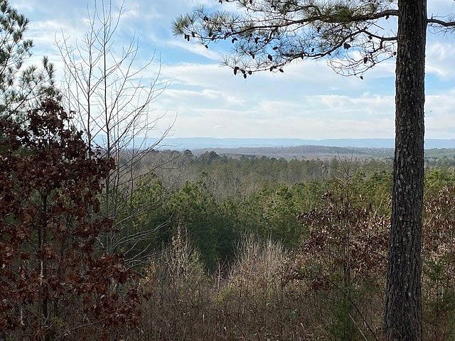 2nd image of 0 Johns Rd Tract 17