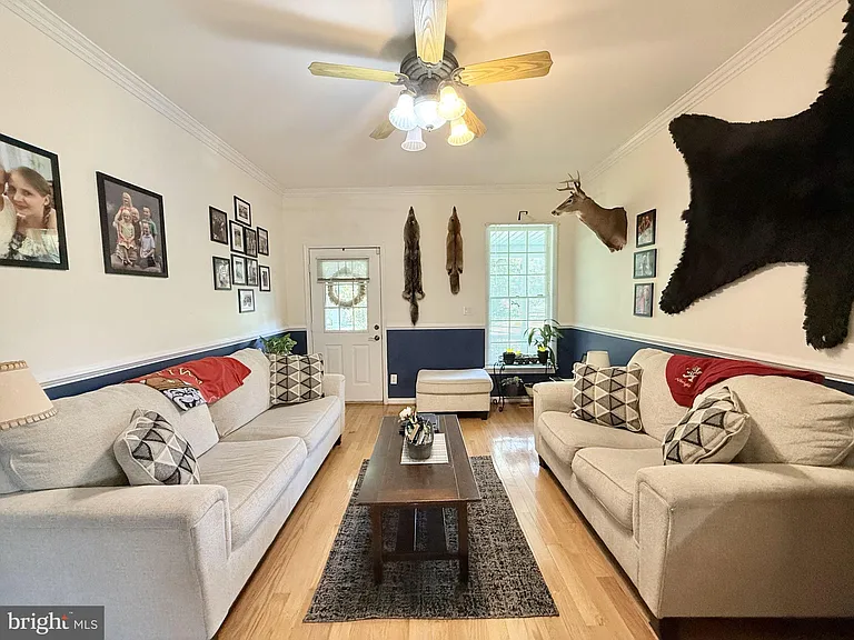 559 Holly Corner Rd — Photo 14