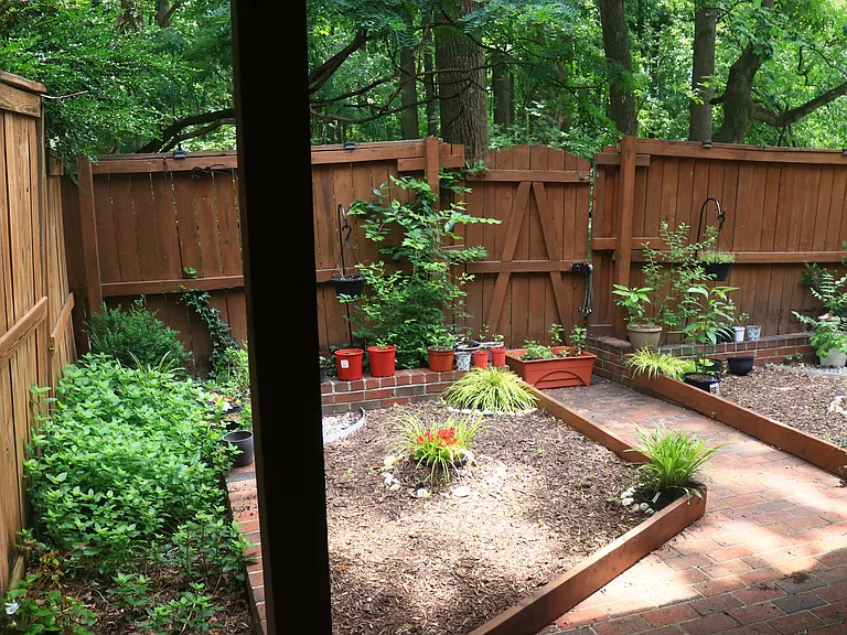 Backyard
