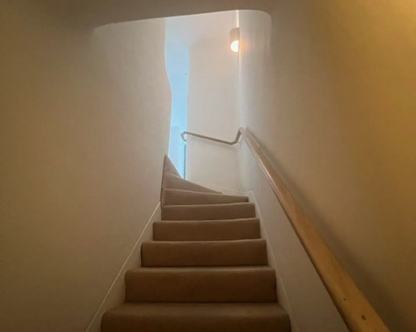 Ramona — Photo 4
