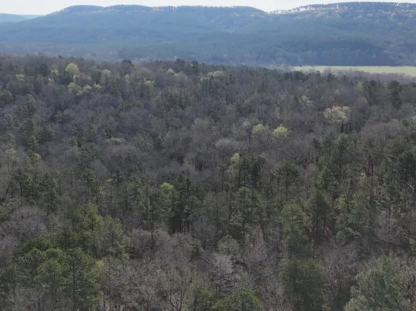 (undisclosed Address), Cleveland, AR 72030