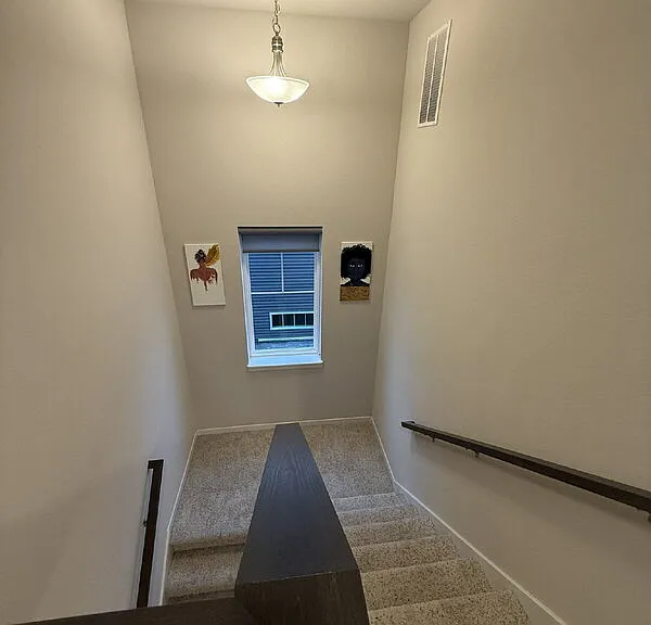 2865 Endive Dr — Photo 30
