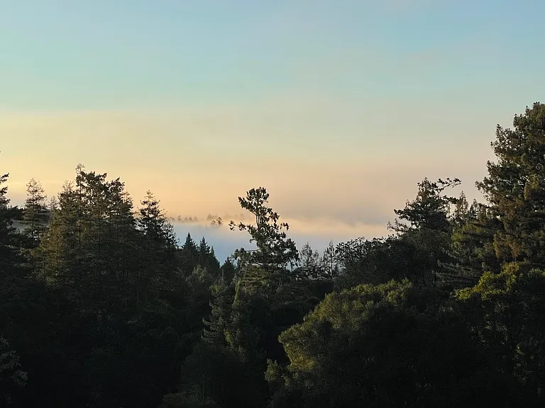 3333 Fern Flat Rd — Photo 8