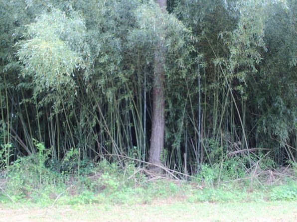 (undisclosed Address), Lumpkin, GA 31815