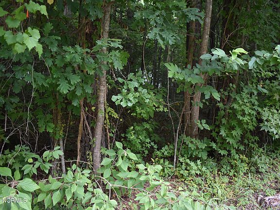 4th image of Lot 50 Cottonwood Drive