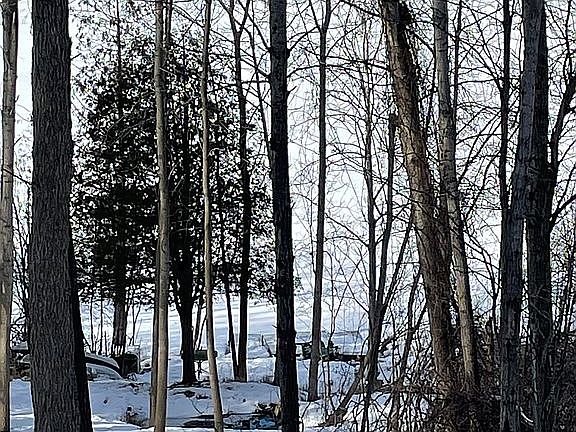5th image of 23137 Miramichi Dr