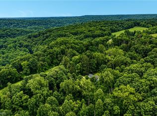 9446 Sperry Rd, Kirtland Hills, OH 44060