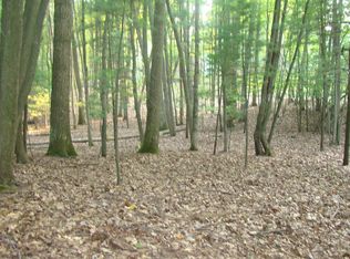 Wayne Ave, Pentwater, MI 49449