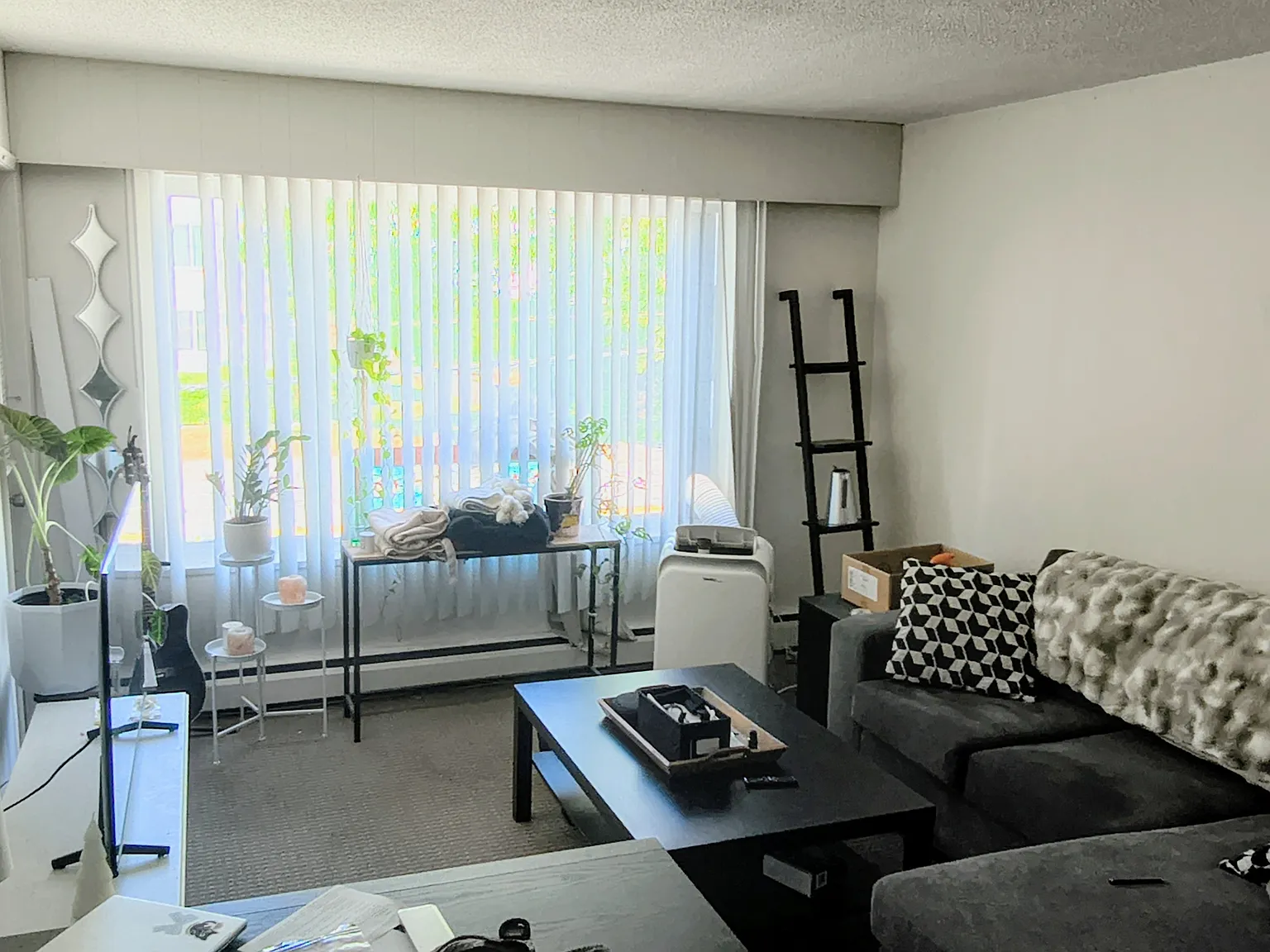 1 bed, 550 sqft, $1,300 — Photo 2