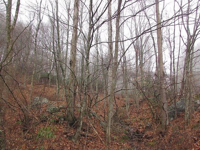 2nd image of Labrador Ln