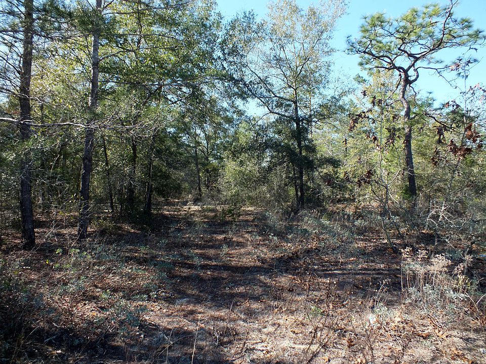 2nd image of Smith Rd