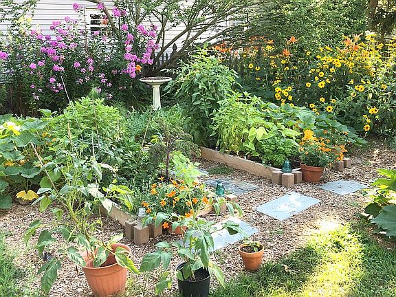 Back Yard Garden