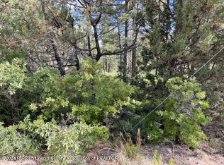 LOT 236 Malory Dr, Timberon, NM 88350