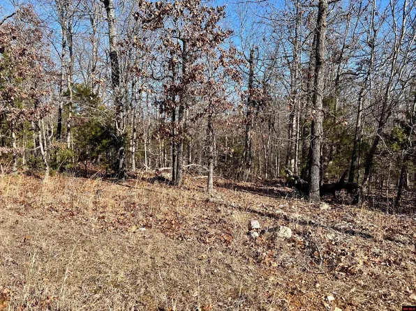 2 Grand Oak Rd, Lakeview, AR 72642