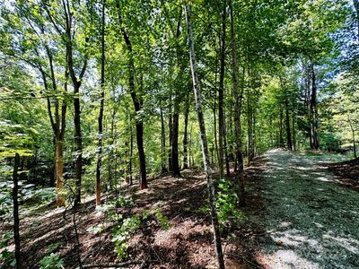0 Howard Gap Rd, Tryon, NC, 28782