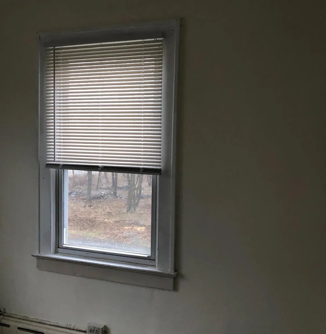 1 bed, 1.0 bath, $1,800 — Photo 4