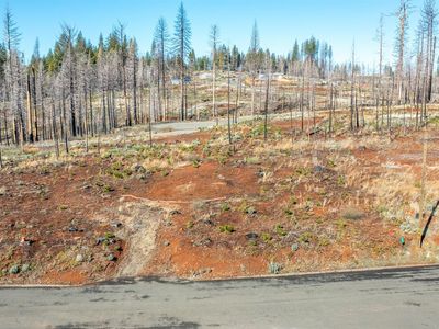 5293 Wooded Glen Rd, Grizzly Flats, CA, 95636