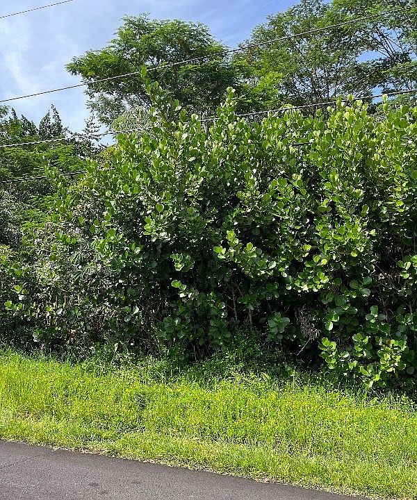 2nd image of 15-1623 Beach Rd Lot 49