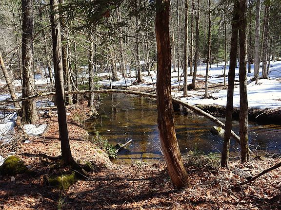 5th image of 0 Bear Pond Rd
