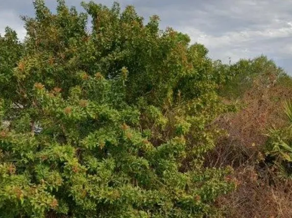 6010 ELAINE AVENUE N LOT 3, LEHIGH ACRES, FL 33971