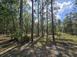 SW 57th Ave, Interlachen, FL 32148