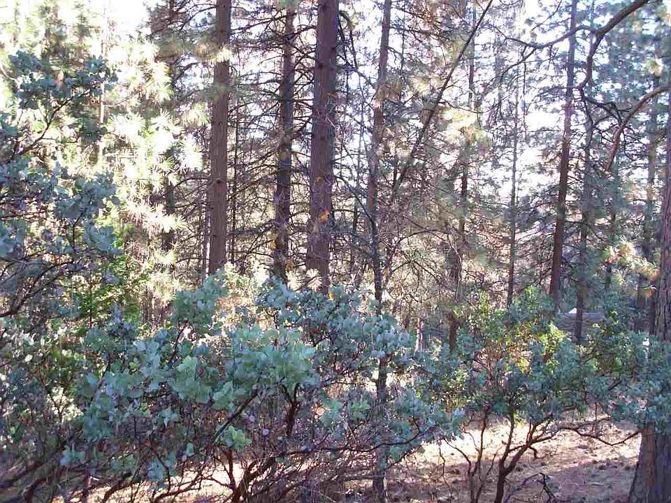 2nd image of 27080 Shake Ridge Rd