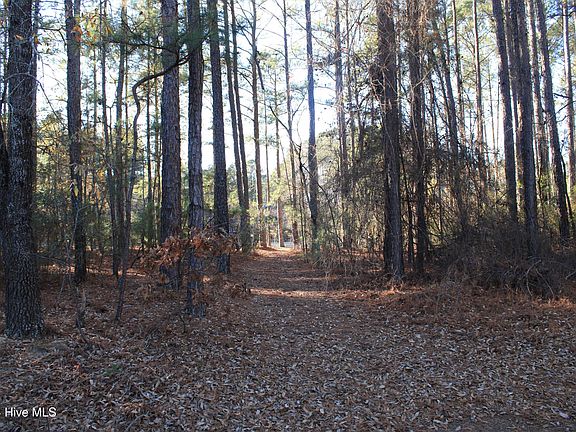 4th image of 30080 Loblolly Court LOT 46