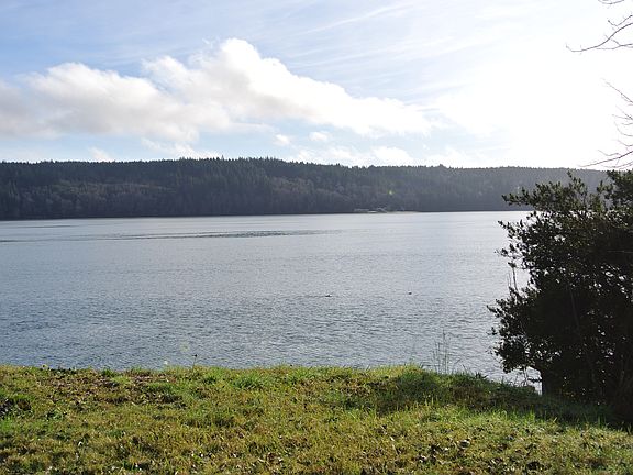 4th image of 13229 SE Shoreline Dr