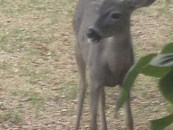 Friendly neighbors