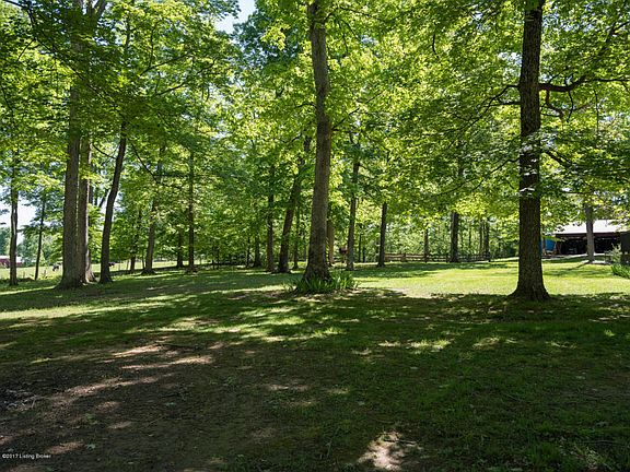 4th image of 250 Rockwood Ln