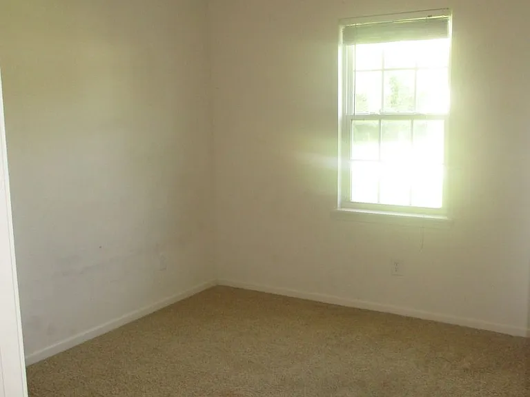 113 Poplar Ridge Rd — Photo 5
