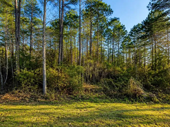 270 Curry St, Onalaska, TX 77351