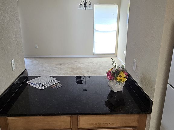 Kitchen Bar area