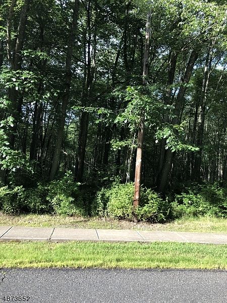 2nd image of 111 Mine Brook Rd