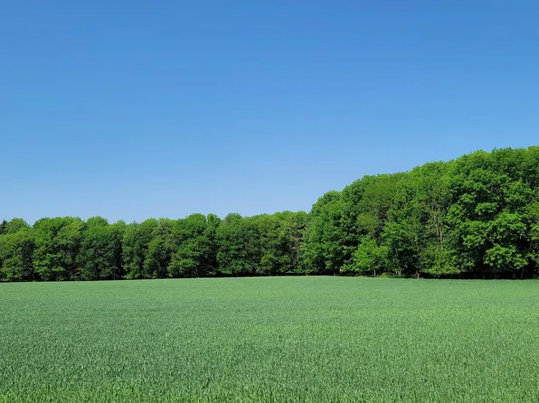 Curran & Bolt Rd, Denmark, WI 54208