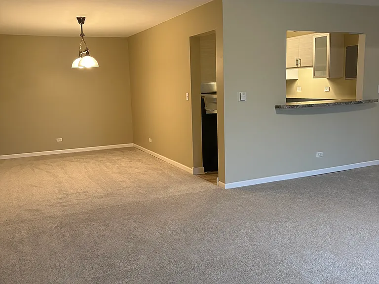 711 E Falcon Dr #201 — Photo 10