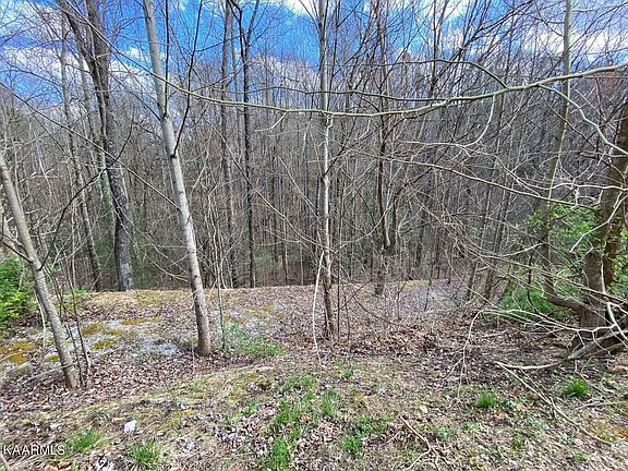5th image of 0 Jones Creek Ln Lot 171E
