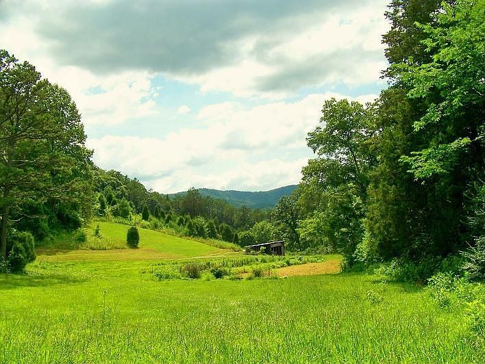 View from one house site on property for sale