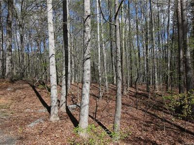 999 Buckeye Ln, Columbus, NC, 28722
