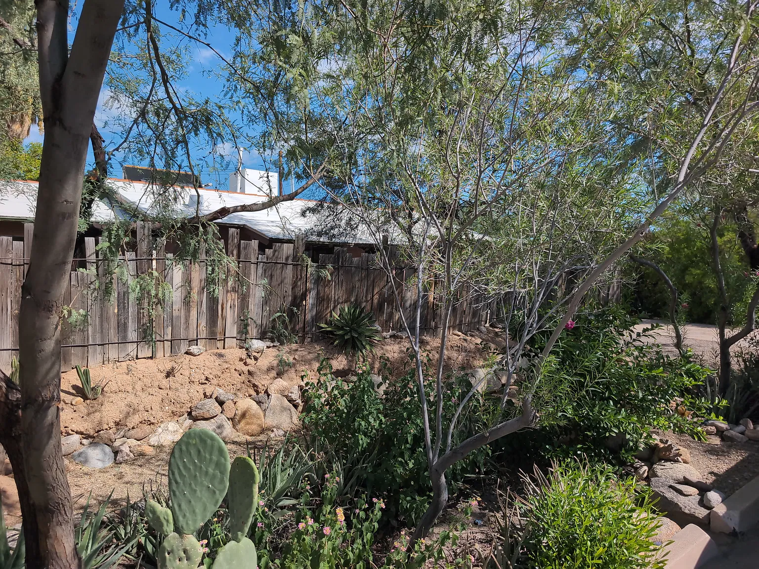 3 bed, 1025 sqft, $1,800 — Photo 4