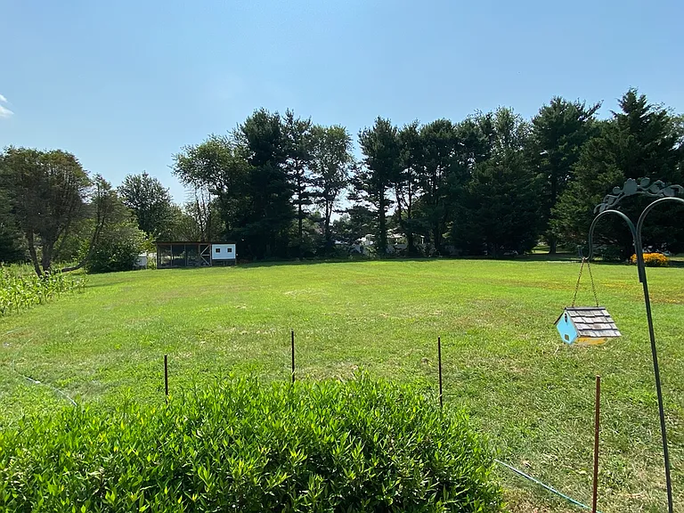 View of Backyard