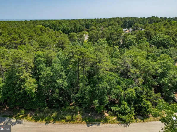 20 Maplewood Dr, Little Egg Harbor, NJ 08087