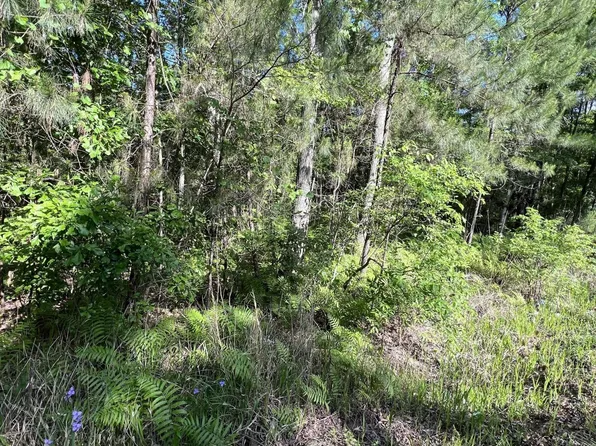 581 Sams Point Rd, Beaufort, SC 29907