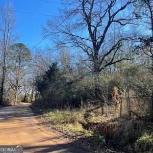 Tax Rd, Woodland, GA, 31836