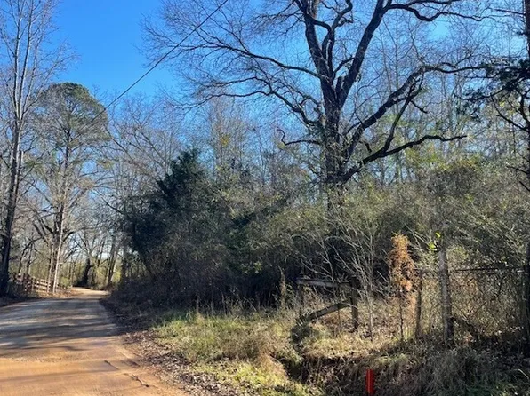 Tax Rd, Woodland, GA 31836