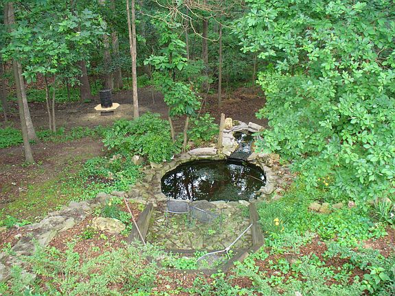 Back Yard Fish Pond