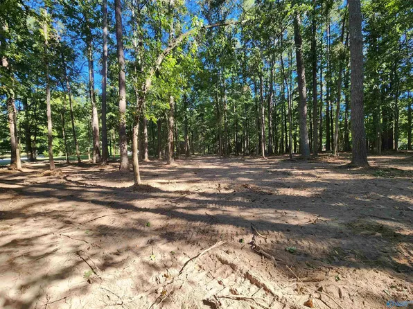 3 Dogwood Dr, Laceys Spring, AL 35754