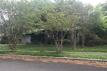 2nd image of 238 Pinewood Ln