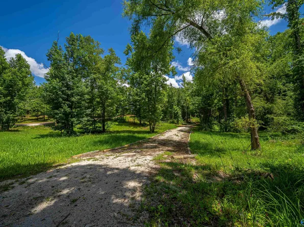 County Road 336, Piedmont, AL 36272